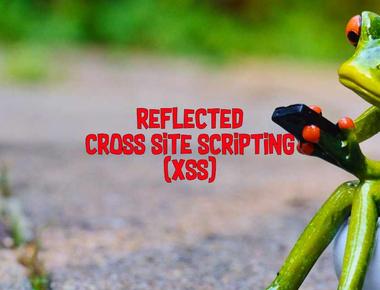 Reflected Cross Site Scripting (XSS)